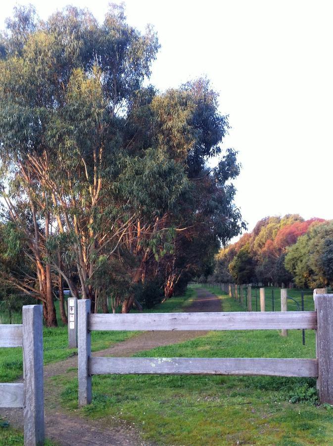 The Estate Koroit Boutique Hotel Exterior foto